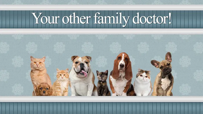 Central Jersey Veterinary Clinic 10