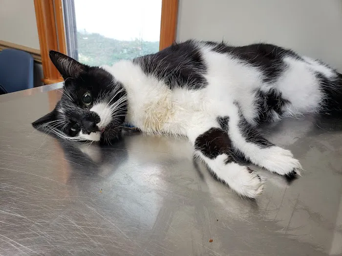 Central Jersey Veterinary Clinic 7