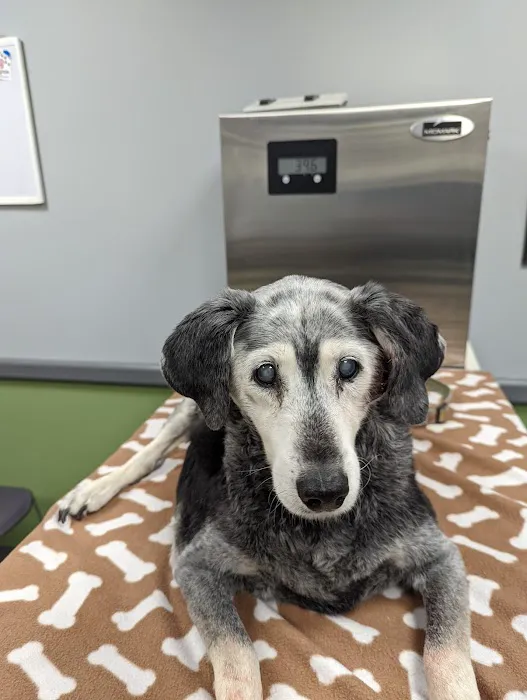 Raritan Animal Hospital 4