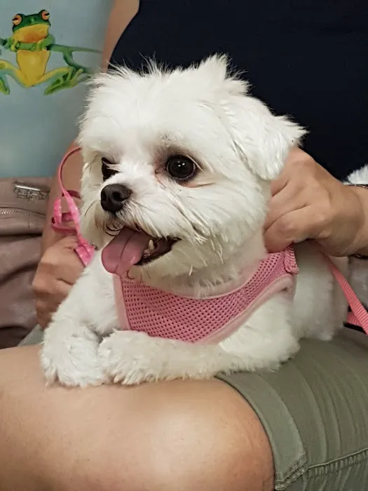 Raritan Animal Hospital 1
