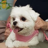 Raritan Animal Hospital ico