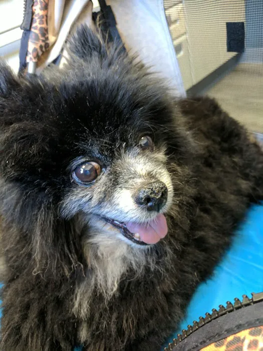 Raritan Animal Hospital 2