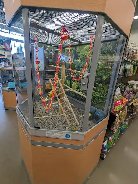 Petco 12