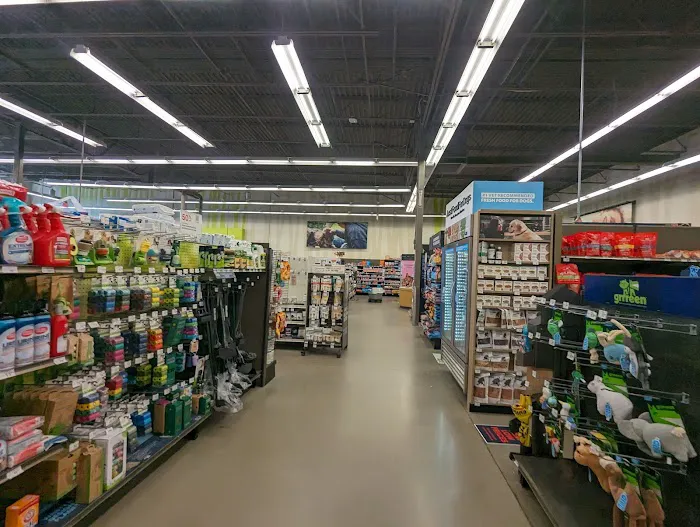 Petco 12