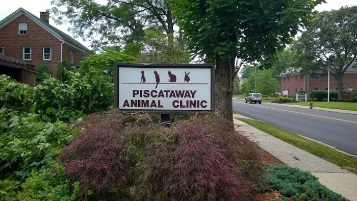 Piscataway Animal Clinic 12