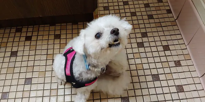Piscataway Animal Clinic 12