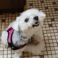 Piscataway Animal Clinic ico