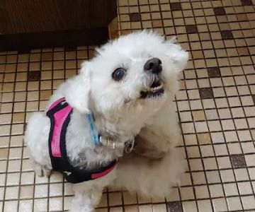 Piscataway Animal Clinic