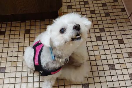 Piscataway Animal Clinic