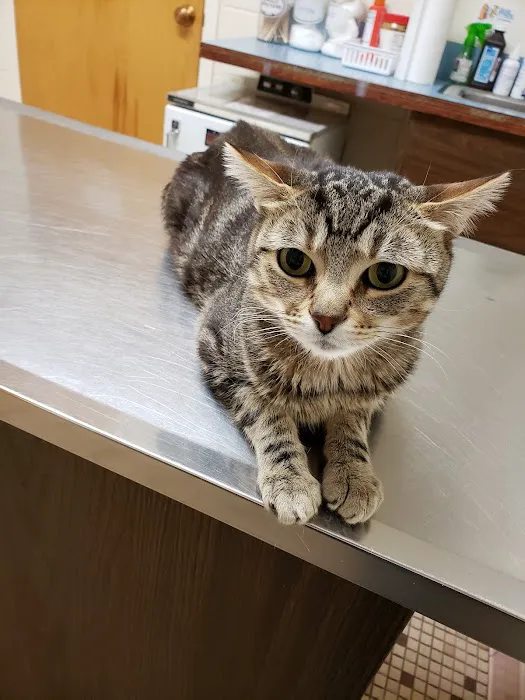 Piscataway Animal Clinic 12