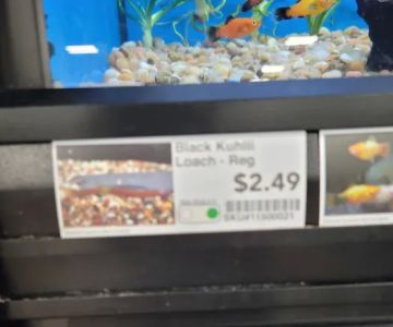 Pet Supermarket