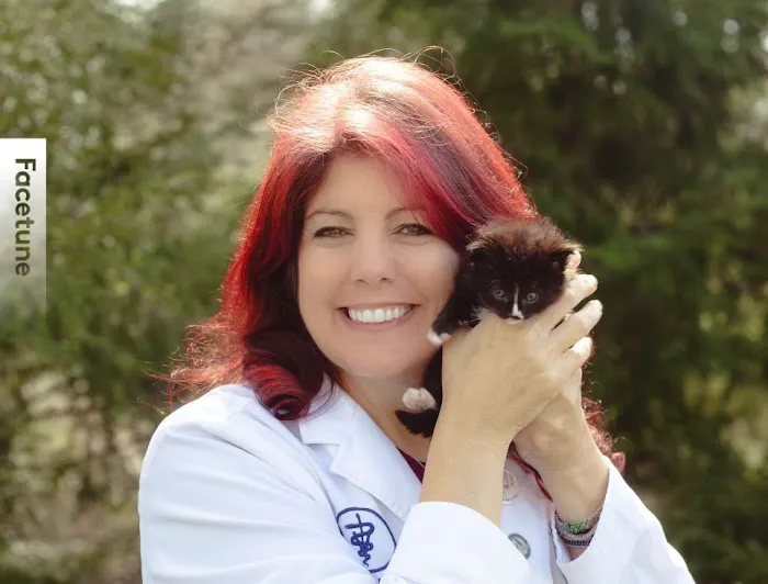 Dr. Jennifer Feeney, DVM, UW-AAB, FFCE, LSHU-S, CFV 12