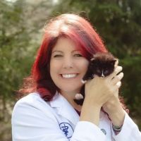 Dr. Jennifer Feeney, DVM, UW-AAB, FFCE, LSHU-S, CFV ico