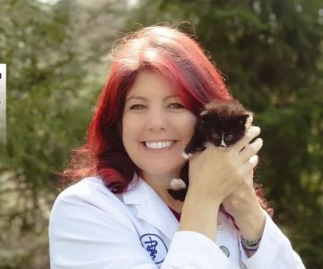 Dr. Jennifer Feeney, DVM, UW-AAB, FFCE, LSHU-S, CFV