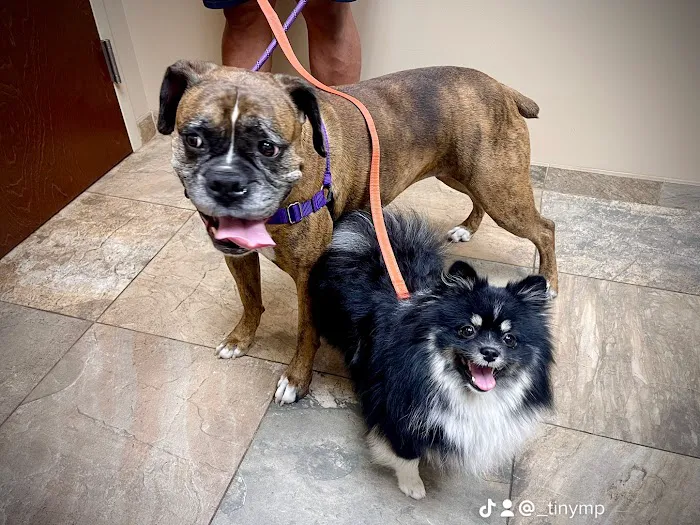 Bridgewater Veterinary Hospital 12