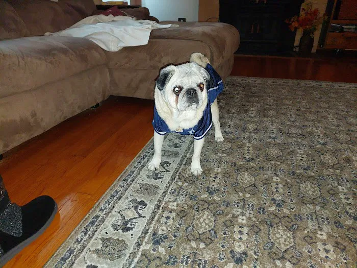 Bridgewater Veterinary Hospital 12
