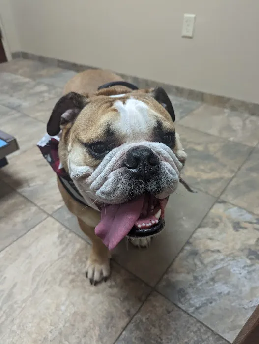 Bridgewater Veterinary Hospital 12