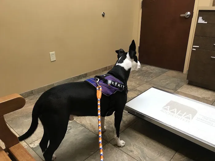 Bridgewater Veterinary Hospital 12
