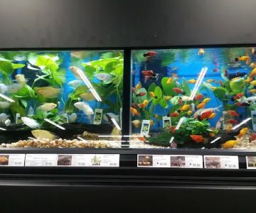 Pet Supermarket