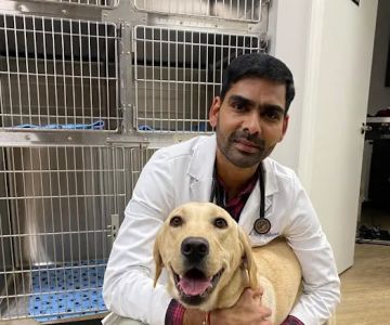 Raritan Valley Veterinary Hospital