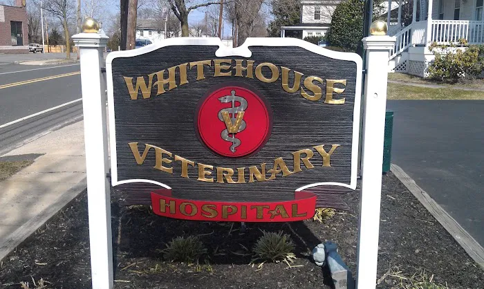 Whitehouse Veterinary Hospital 12