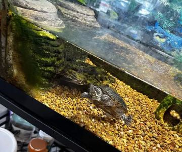 Optimum Aquarium