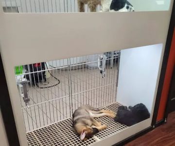 Petland Kennesaw