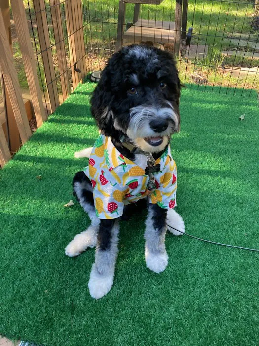 Hunterdon Hills Animal Hospital 12