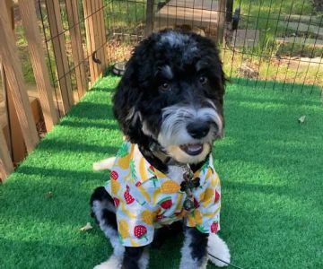 Hunterdon Hills Animal Hospital