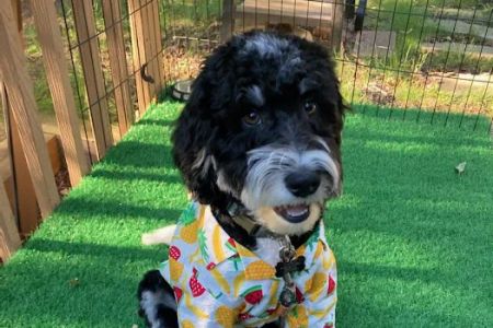 Hunterdon Hills Animal Hospital
