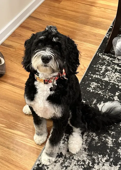 Hunterdon Hills Animal Hospital 12