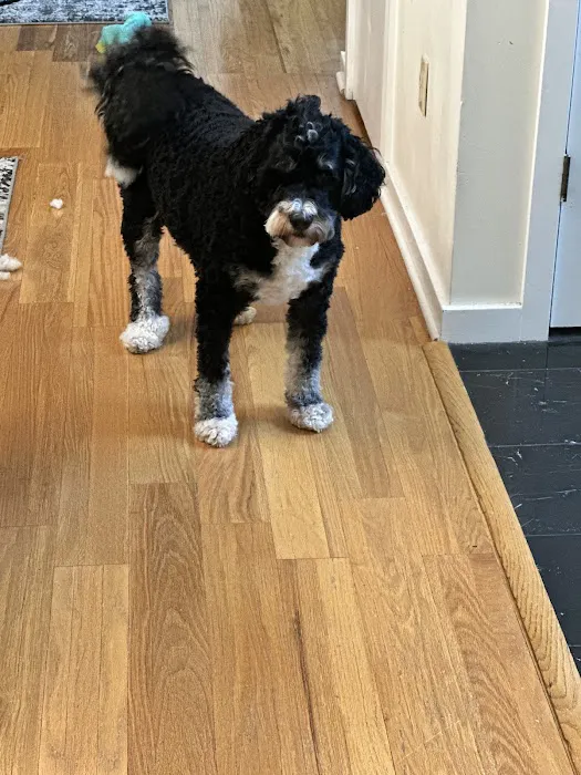 Hunterdon Hills Animal Hospital 12