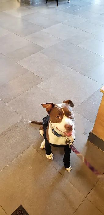 Hunterdon Hills Animal Hospital 12