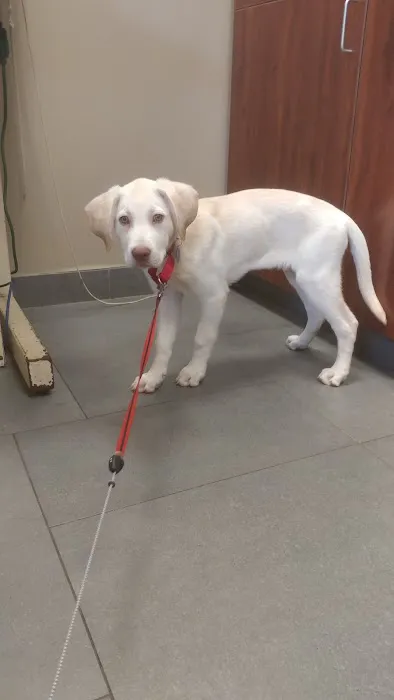 Hunterdon Hills Animal Hospital 12