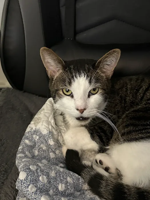 Hunterdon Hills Animal Hospital 12