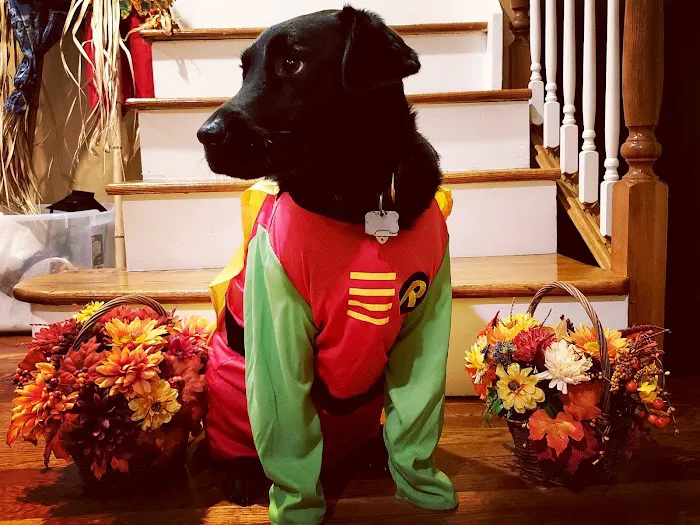 Hunterdon Hills Animal Hospital 12