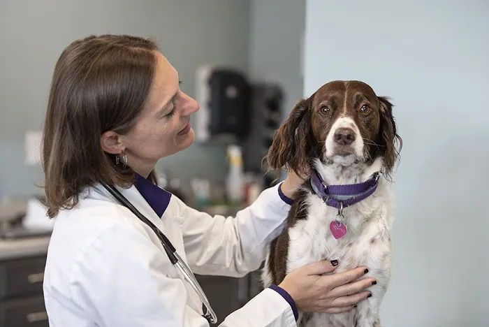 PetWellClinic - Green Brook 12