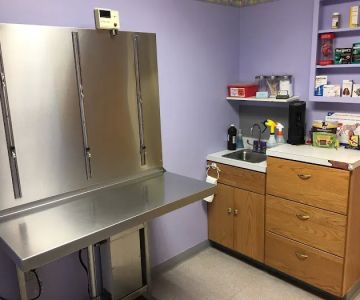 Animal Clinic of Warren
