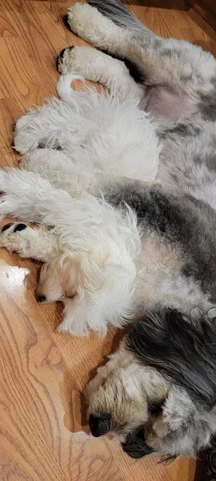 Warren Township Animal Hospital - Anna Marie Gallo DVM 12