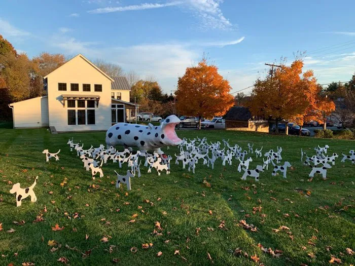 Oldwick Animal Hospital 12