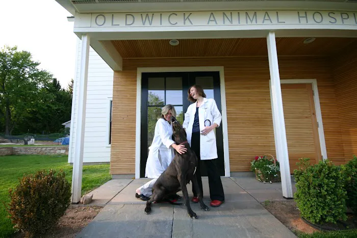Oldwick Animal Hospital 12