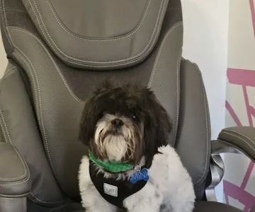 Petco