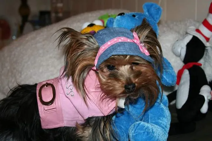 Green Brook Animal Hospital 1