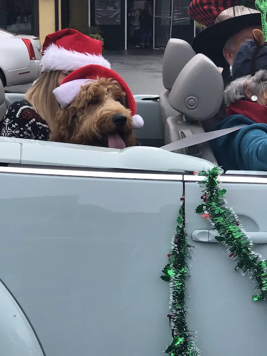 Local Pup 12