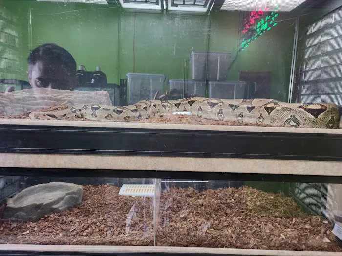 GHC Exotics Pets And Supplies 12