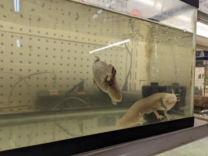 GHC Exotics Pets And Supplies 12