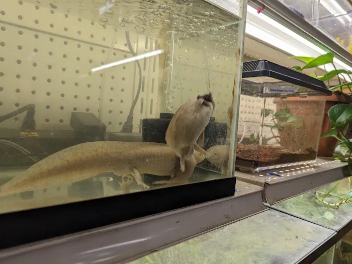 GHC Exotics Pets And Supplies 12