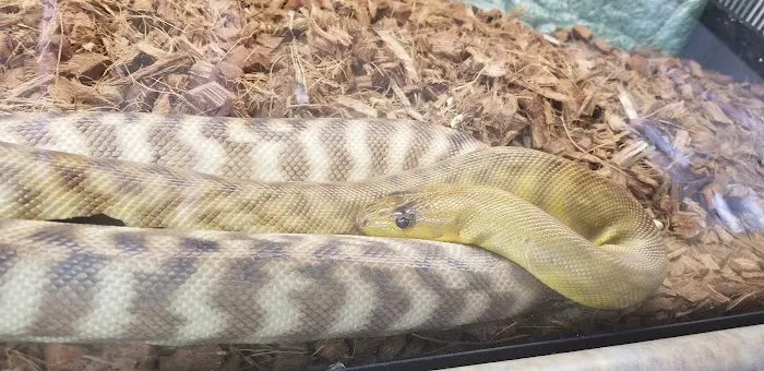 GHC Exotics Pets And Supplies 12