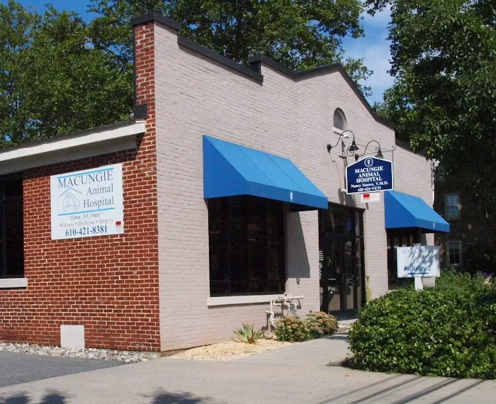 Macungie Animal Hospital 12