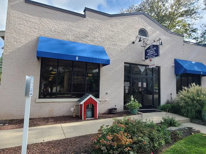 Macungie Animal Hospital 12